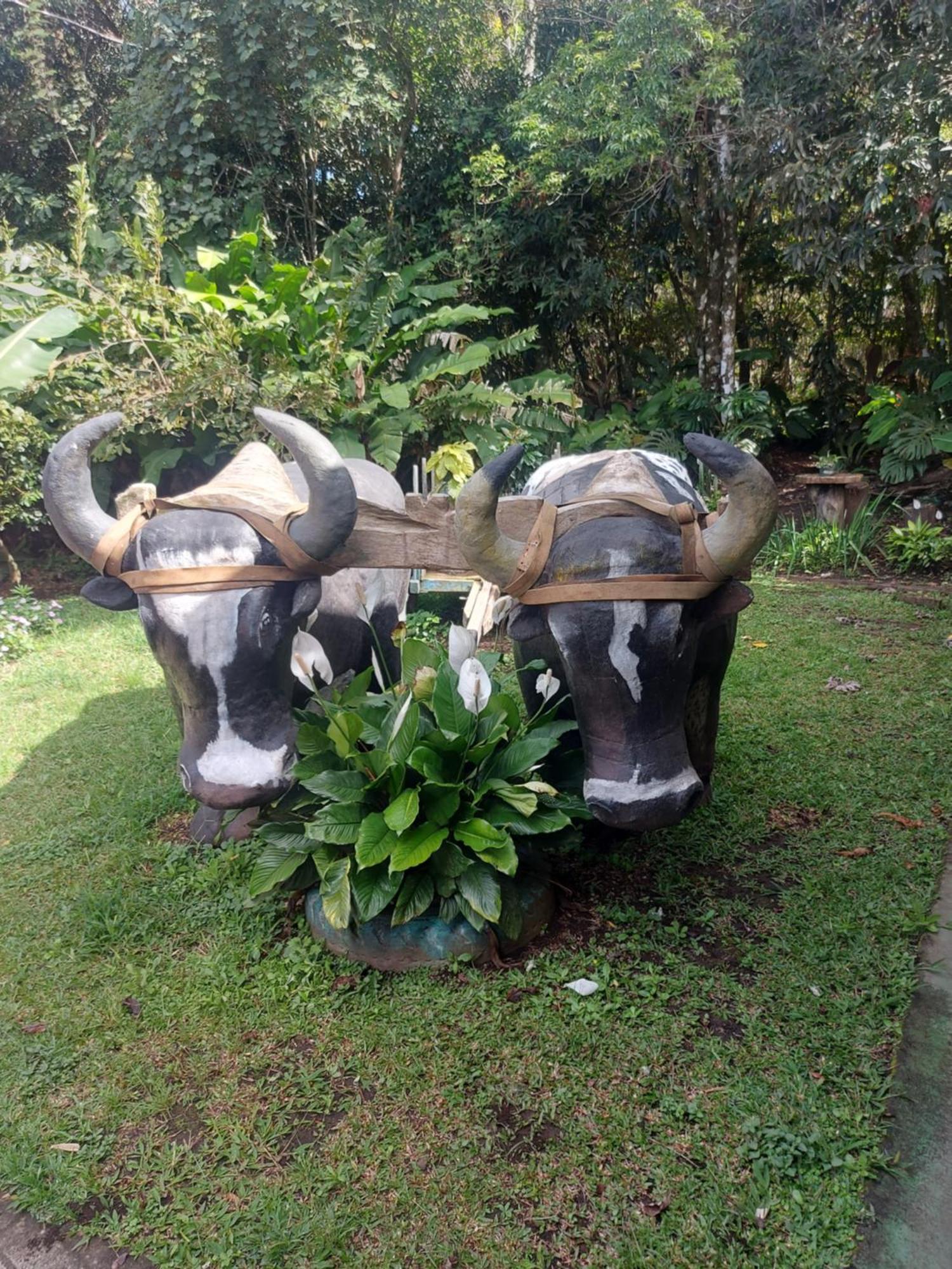 Alisson Hotel Y Restaurant Monteverde ภายนอก รูปภาพ